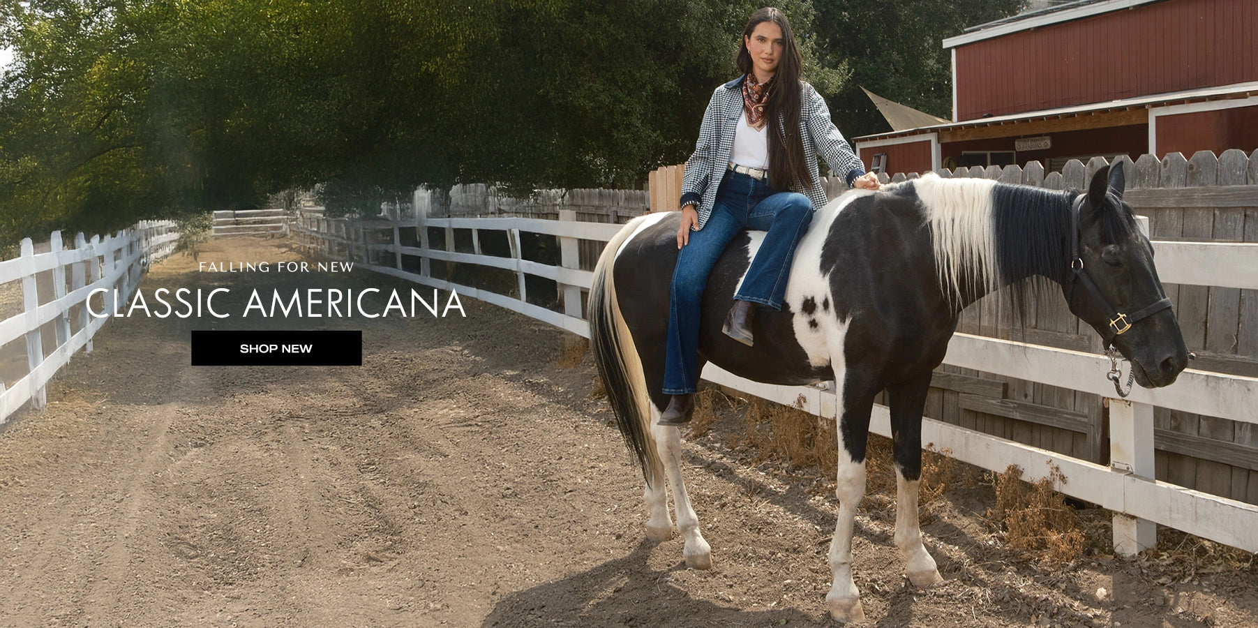 classic americana desktop banner