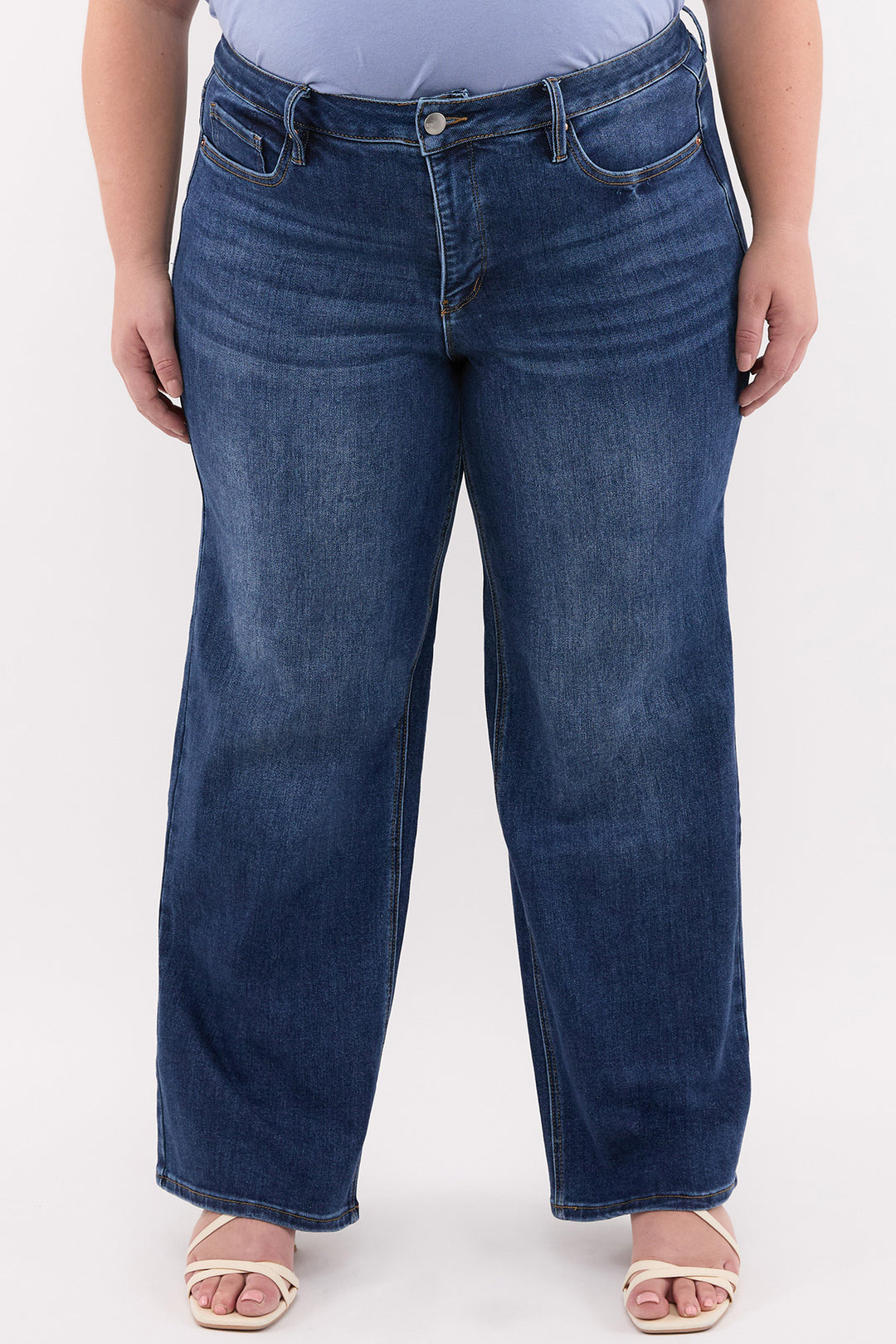 Plus Chloe High Rise Wide Leg Jeans-ZP199832