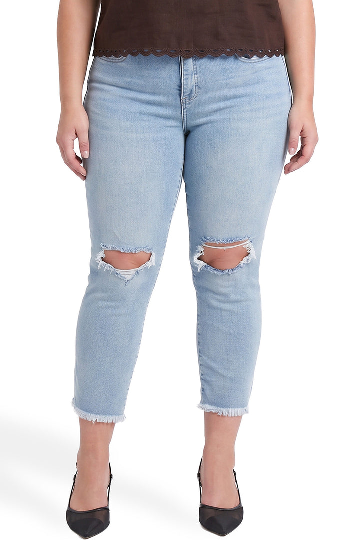 Plus Dylan High Rise Cropped Straight Leg Jeans